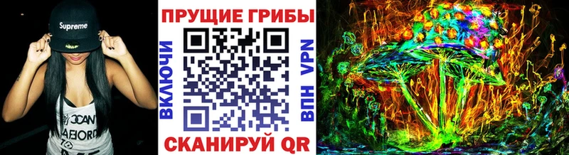 omg ссылки  Люберцы  Галлюциногенные грибы прущие грибы  где купить наркоту 