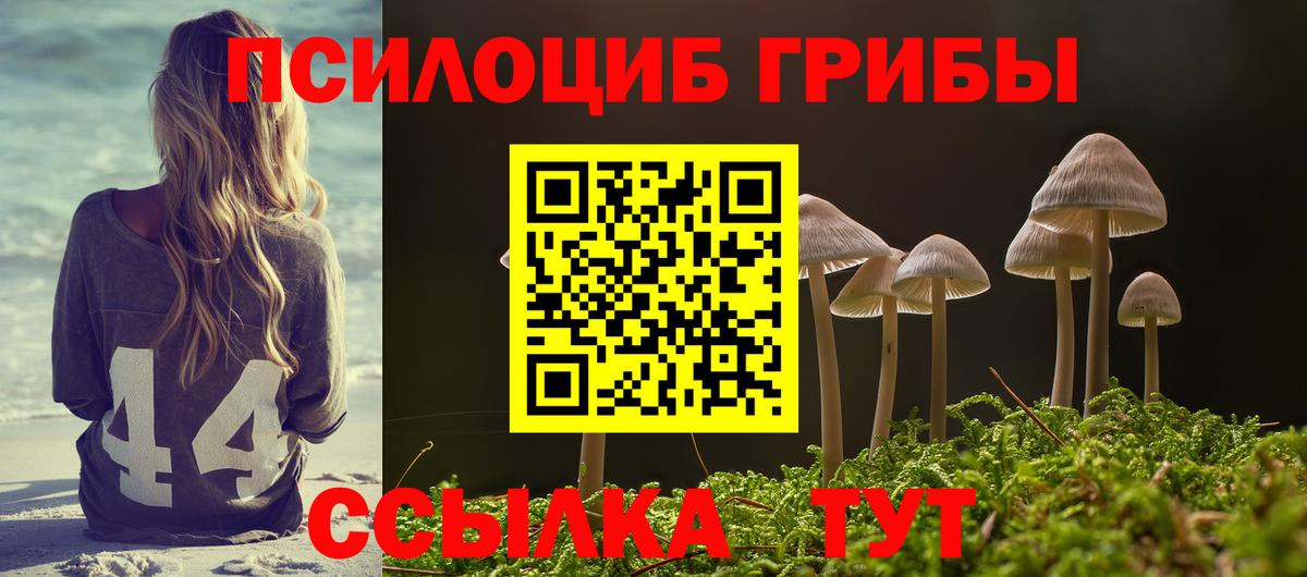 Псилоцибиновые грибы Magic Shrooms Люберцы